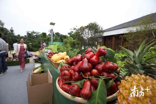 怎么进吃瓜群众官网地址,轻松获取最新资讯，畅享网络娱乐盛宴！”  第2张