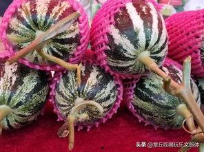 怎么进吃瓜群众官网地址,轻松获取最新资讯，畅享网络娱乐盛宴！”  第3张