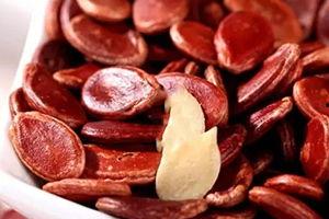 吃瓜事件网红瓜子