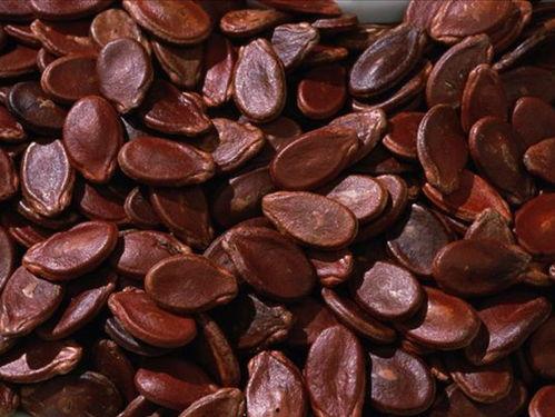 吃瓜事件网红瓜子  第2张