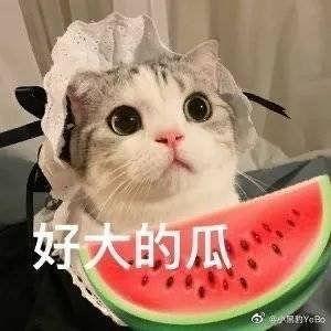 吃瓜网红照片高清图,高清镜头下的真实魅力  第1张